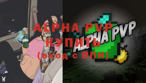 гидра Новозыбков
