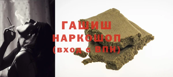 гидра Новозыбков