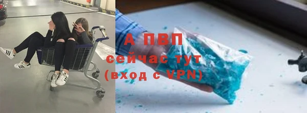 не бодяженный Бикин