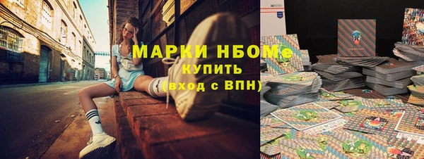 гидра Новозыбков