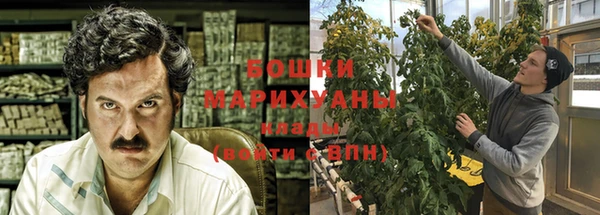 гидра Новозыбков