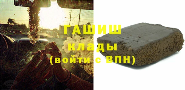 гидра Новозыбков