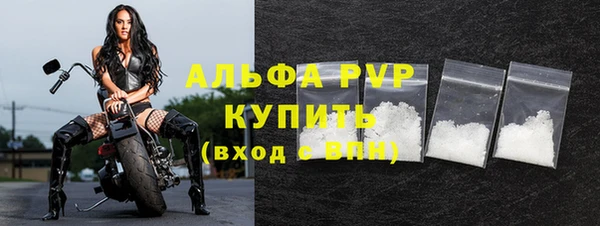 гидра Новозыбков
