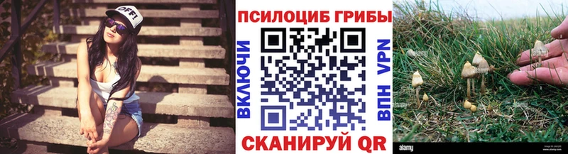 Купить закладки  Гремячинск  Галлюциногенные грибы мицелий 